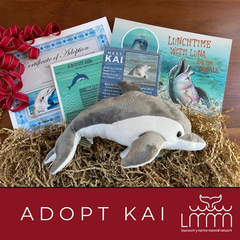 ADOPT Local Dolphin, KAI