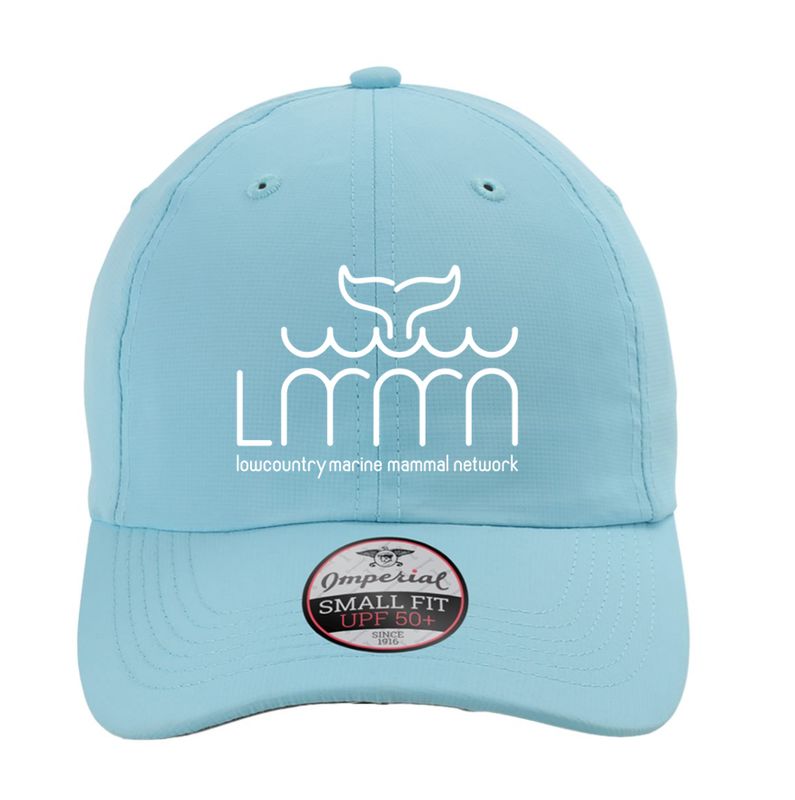 Blue performance hat