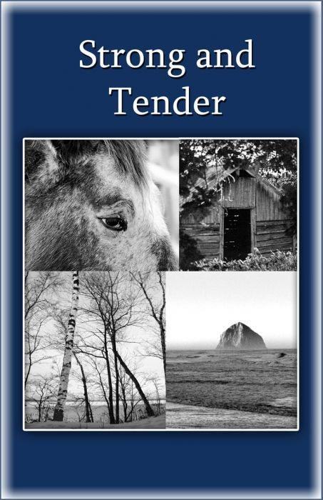 Strong and Tender ( A book for grieving fathers)