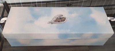 Synergy Preemie Cremation Casket 2-Pack Insert (18.5" Interior)