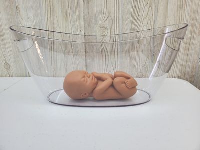2nd Trimester Saline Bath Tub (no lid) 5.5 L Max Capacity