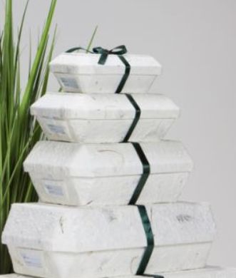Paper Mache Cremation Caskets - 3 pack Bulk Order - Medium - CC-P-3-MED