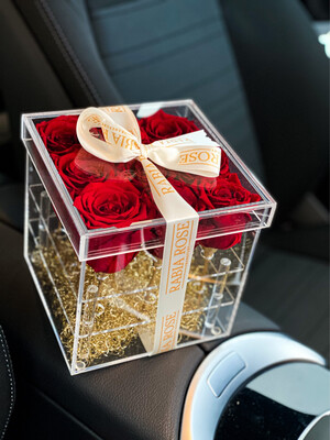 Info: Acryl Rosenbox