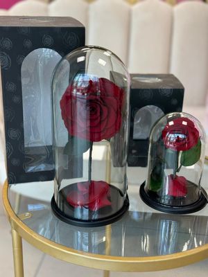 RABIA ROSE Dome