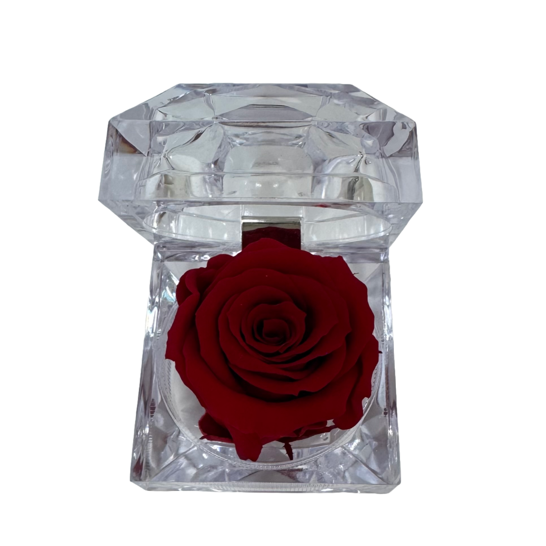 Einzel Infinity Rosenbox