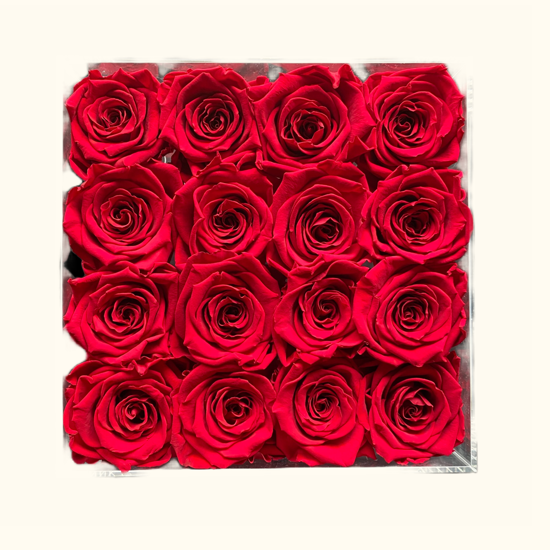 Rabia Rose Acrylbox Medium