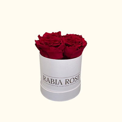 Rabia Rose Small