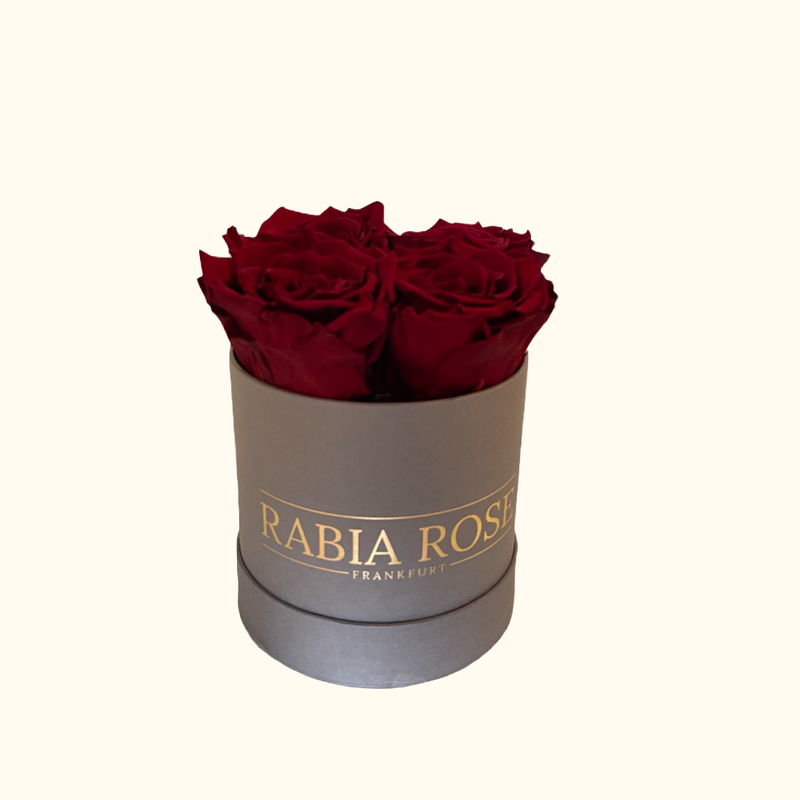 S-Rosenbox mit Infinity Rosen