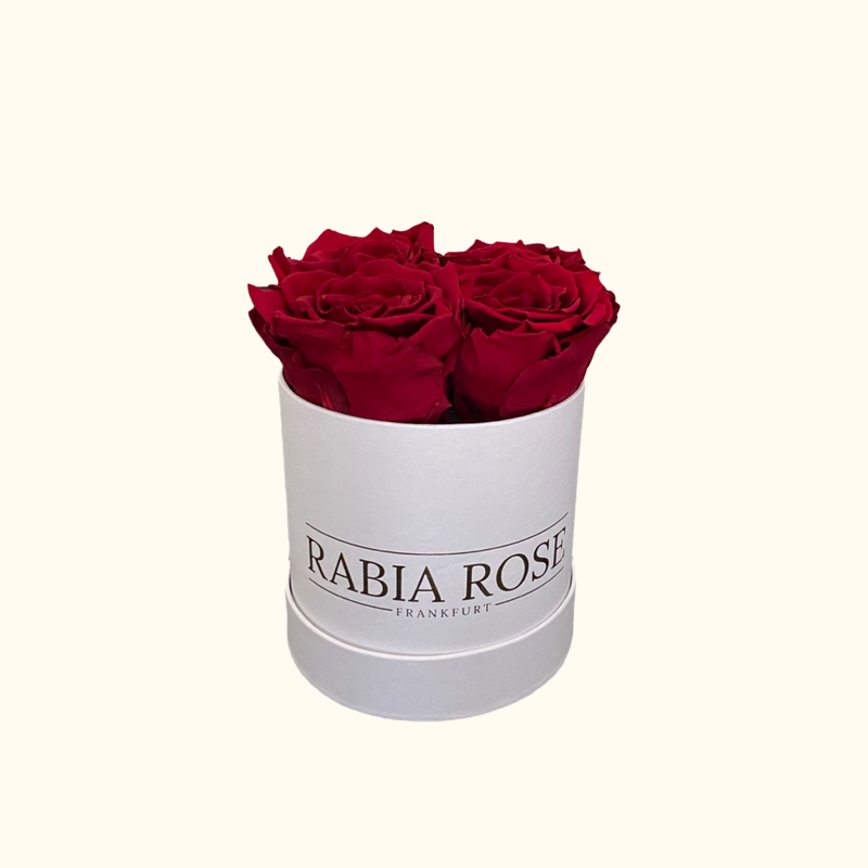 S-Rosenbox mit Infinity Rosen