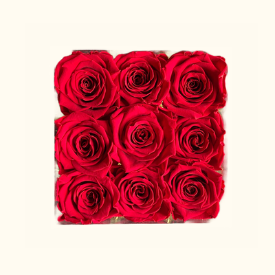 Rabia Rose Acrylbox Small