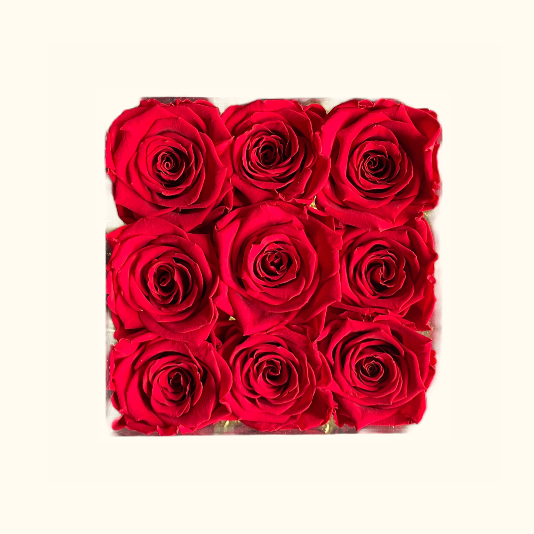 Rabia Rose Acrylbox Small
