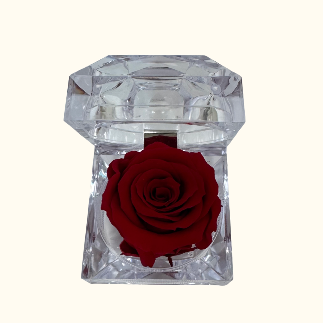 Einzel Infinity Rosenbox