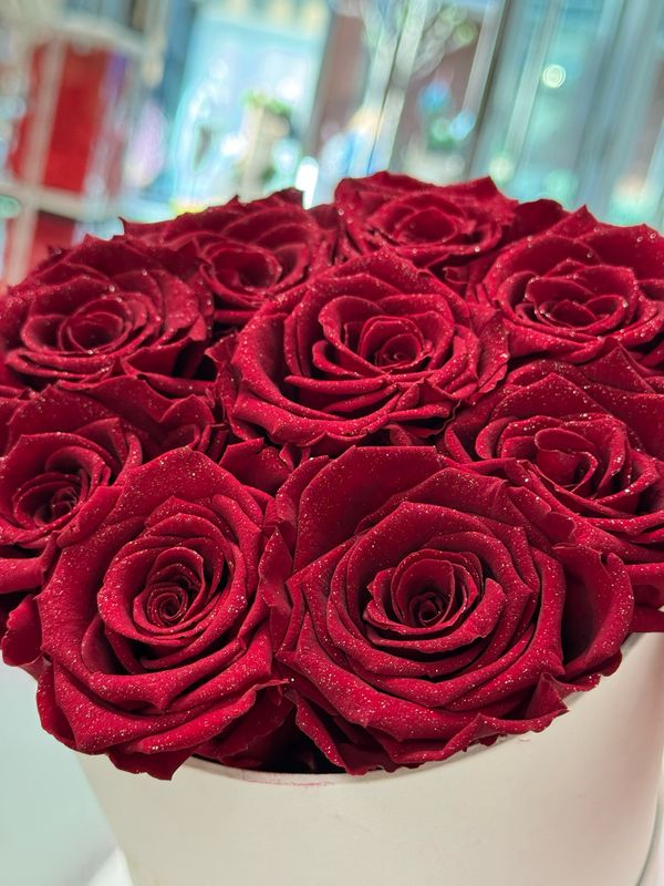 Infinity Rosen: Rabia Rose