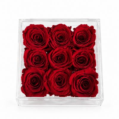 Rabia Rose Acrylbox Small