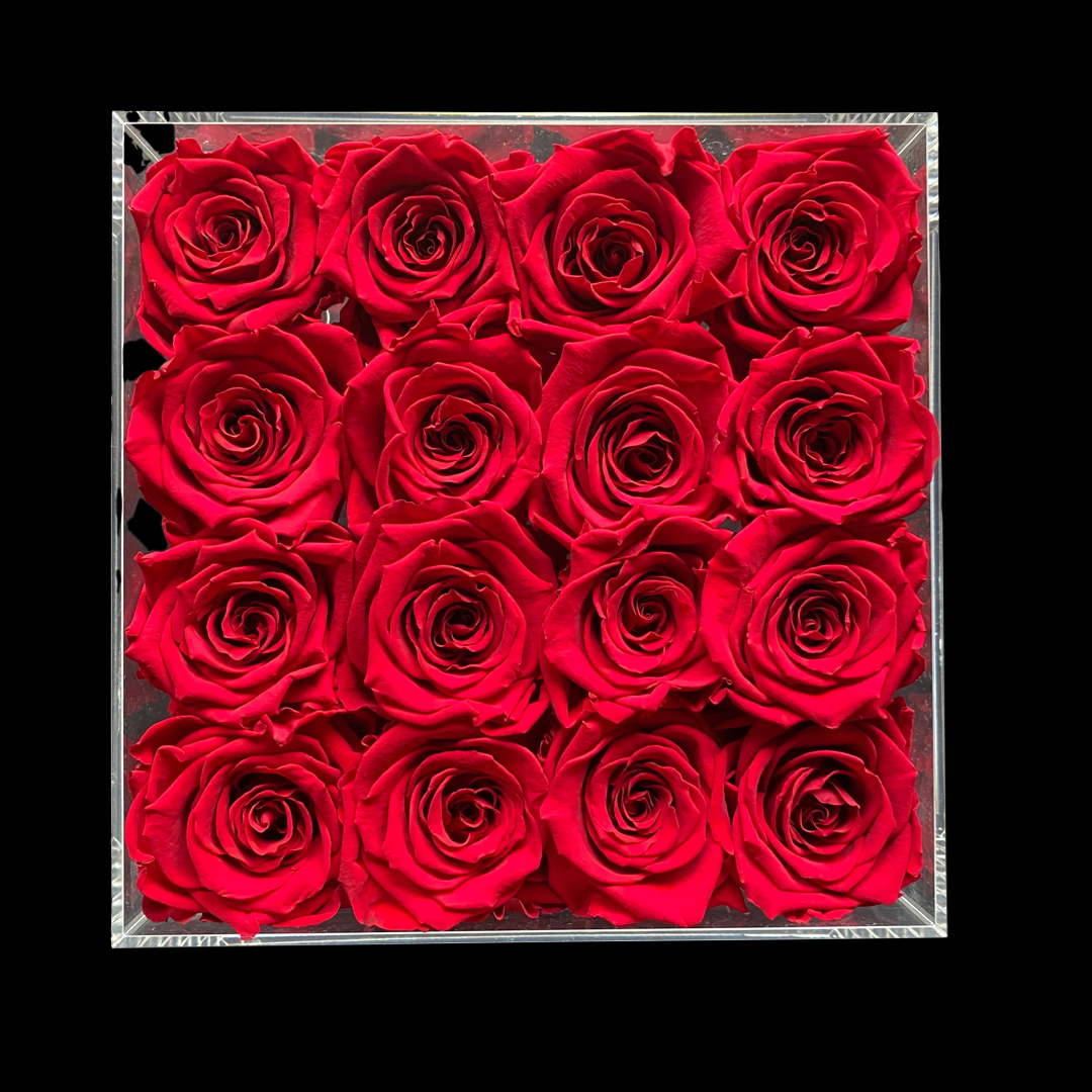 Rabia Rose Acrylbox Medium Acrylbox Medium mit Infinity Rosen - modernes Blumengeschenk aus Frankfurt