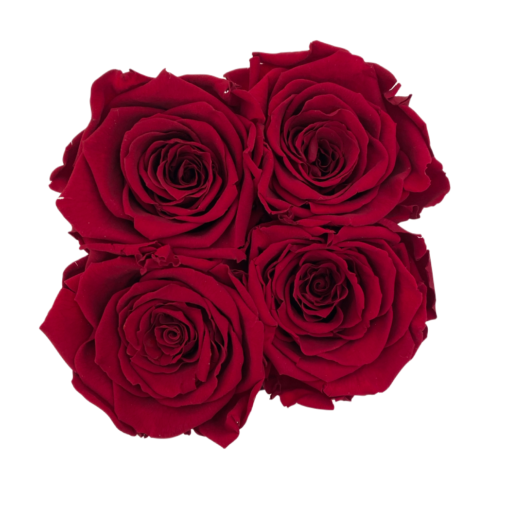 Infinity Rosen