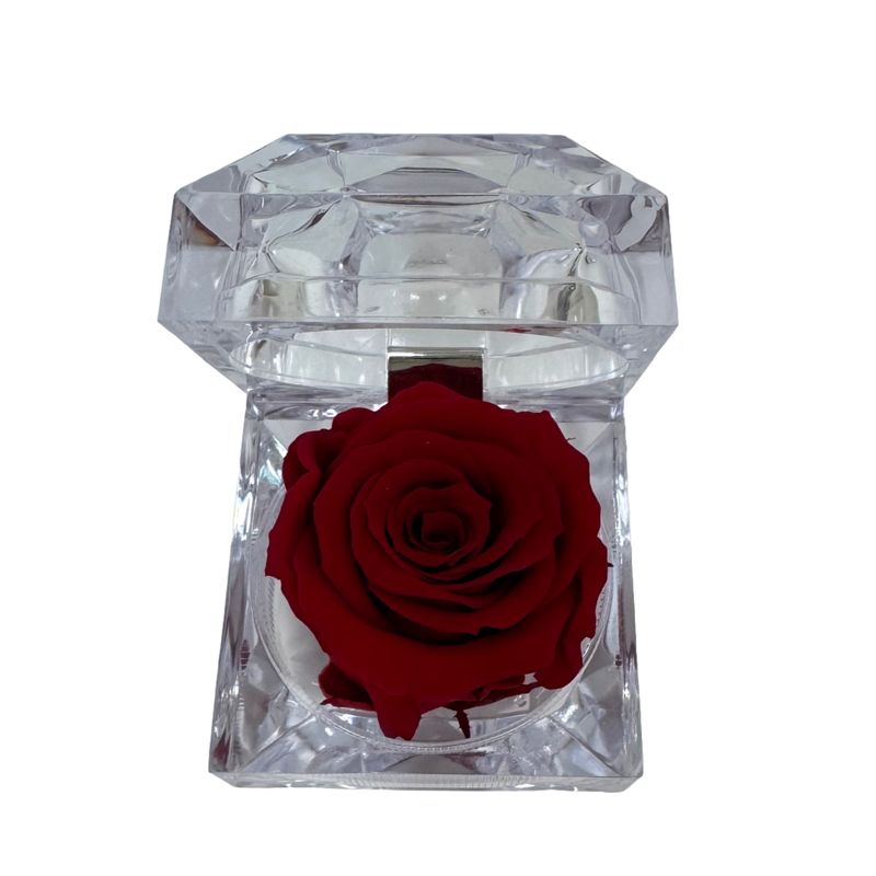 Einzel Infinity Rosenbox Duftende Einzel Infinity Rose mit Express Lieferung in Frankfurt