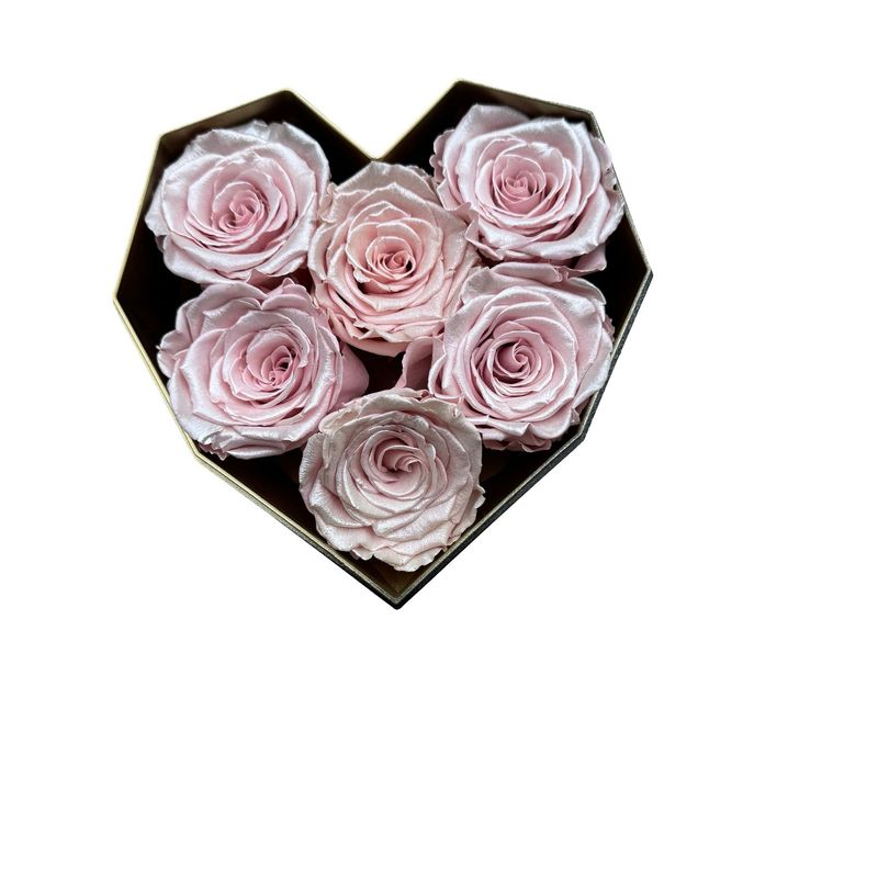 Infinity Rosen Herzbox 6 „Eternal Black“ – mit Deckel