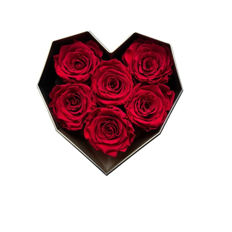 Infinity Rosen Herzbox 6 🌹 „Passion Red“ – mit Deckel