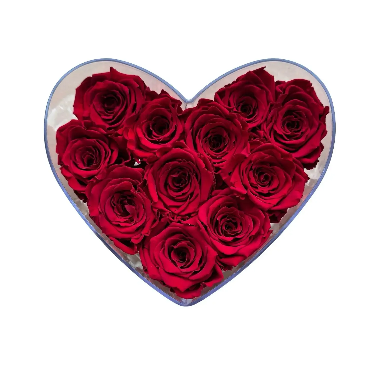 Infinity Rosen Acryl Herzbox mit 10 Rosen - elegantes Geschenk aus Frankfurt