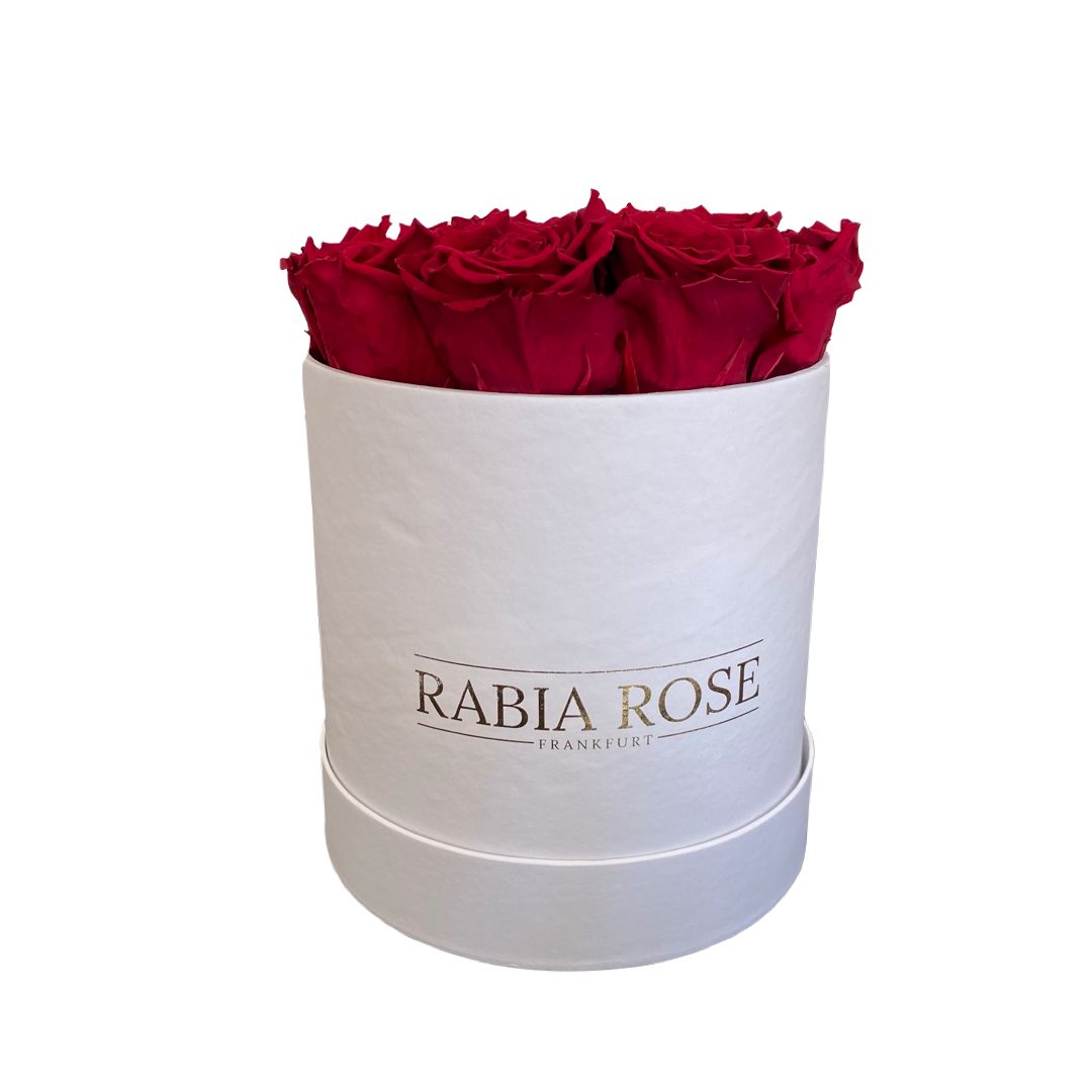 L Rosenbox mit Infinity Rosen