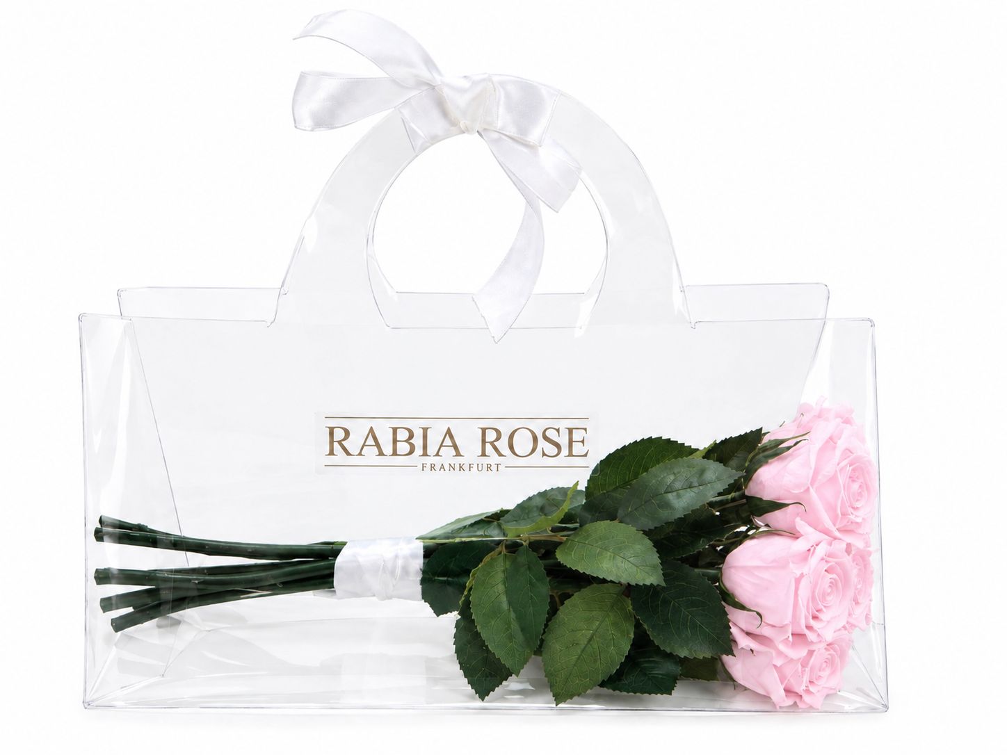Infinity Stielrosen - 5 Rosen in transparenter Geschenktasche