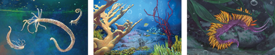 Dominant Species: Marine (2nd Edition)