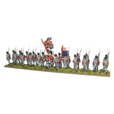 Painted Waterloo British Infantry miniatures for Black Powder Napoleonic Wars.