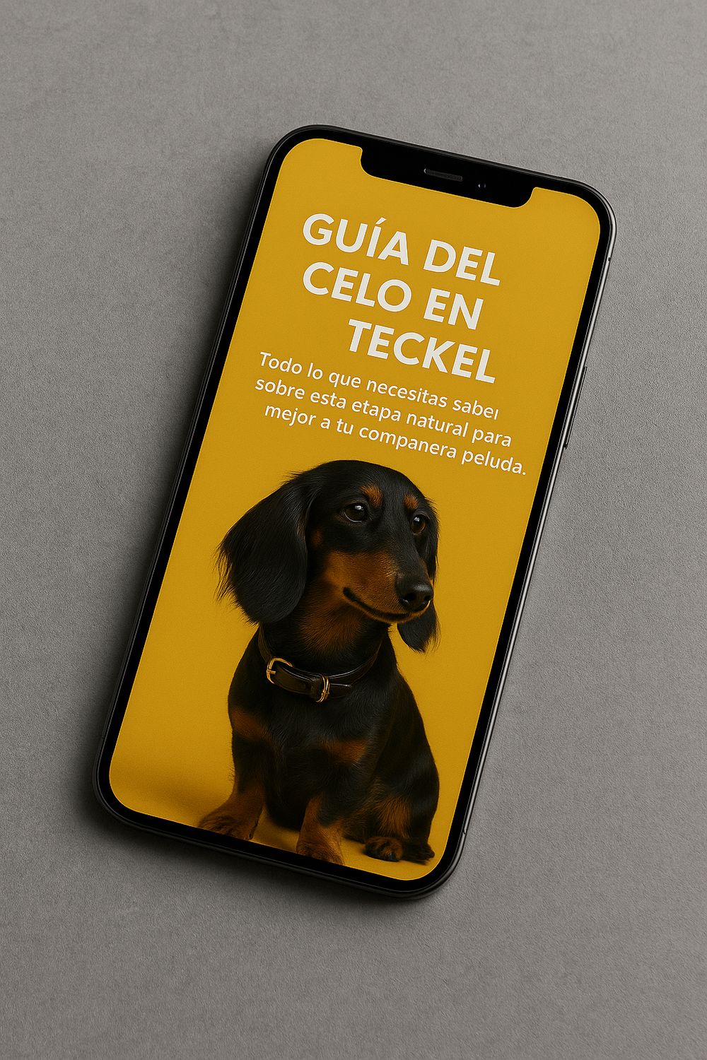 🐾 14 Páginas para Entender el Celo en tu Teckel Guía práctica para dueños primerizos de hembras: todo lo que necesitas saber para cuidarla y protegerla 🐾 14 Páginas para Entender el Celo en tu Teckel Guía práctica para dueños primerizos de hembras: todo lo que necesitas saber para cuidarla y protegerla