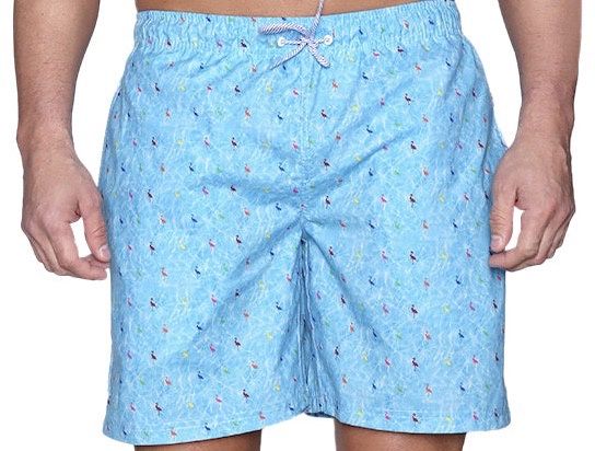 Tailorbyrd Signature Byrd Swim Trunk