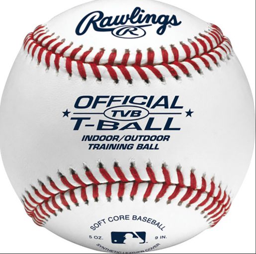 RAWLINGS 9&quot; SPONGE RUBBER T-BALL - TEAM 12 PACK - TVB-DZ
