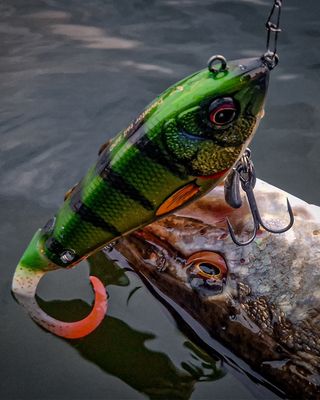 Pike/Perch Fishing