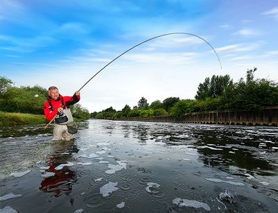 Rods (Float)