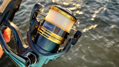 Reels (Fixed Spool)