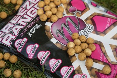 Boilies