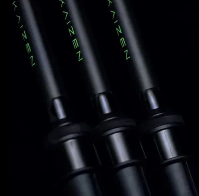 Rods (Carp)