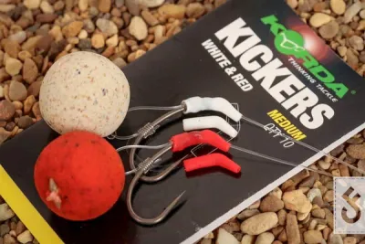 Carp Accessories