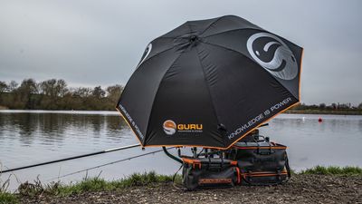 GURU LARGE UMBRELLA