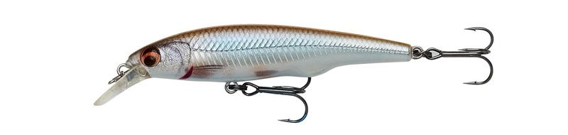 SAVAGE GEAR GRAVITY TWITCH SR - 9.5CM 15G, Colour: ROACH