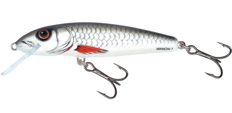 SALMO MINNOW 7CM/8G FLOATING, Colour: Dace