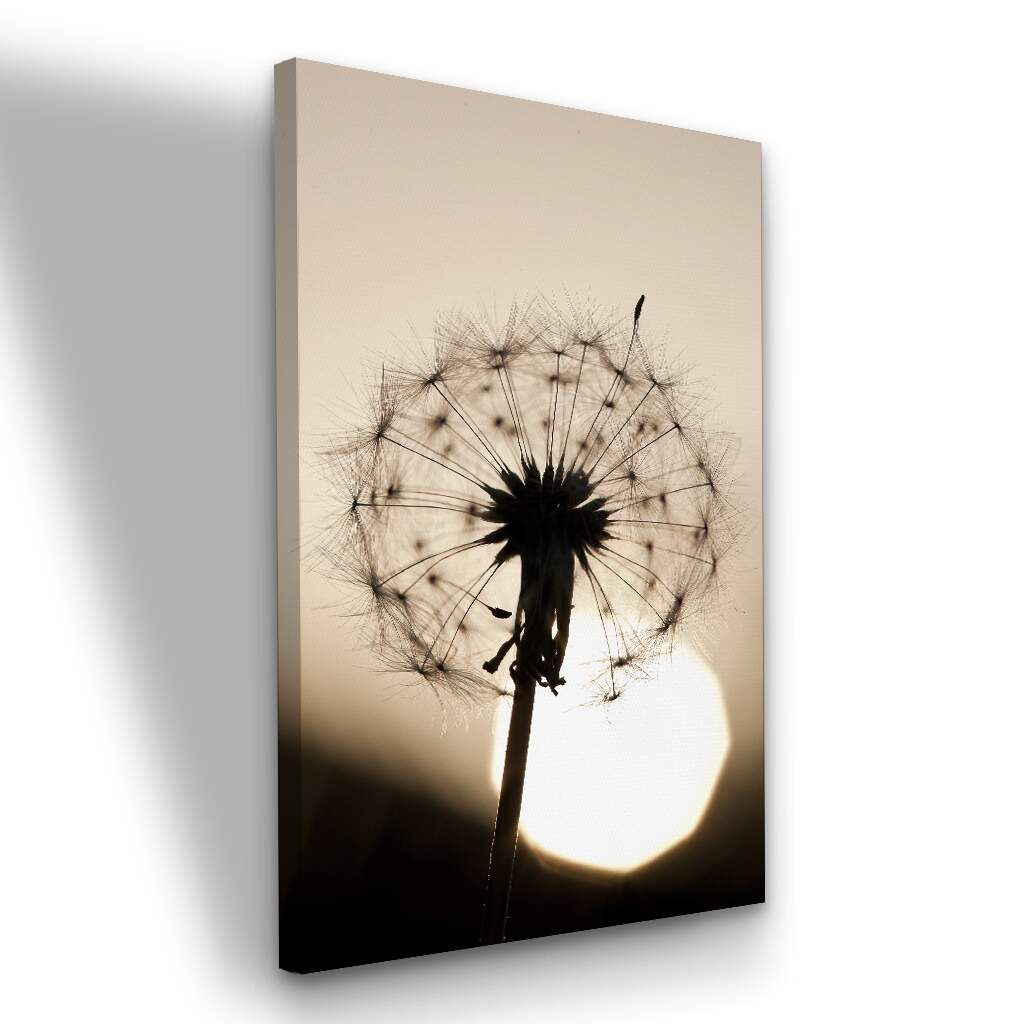 Dente de Leão ao Pôr do Sol, Escolha a Medida (LxA): mediano-50x70cm.jpg, Escolha a Moldura: borda-infinita--sem-moldura-.jpg