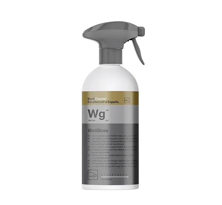 Wet Gloss, Size: 500ml