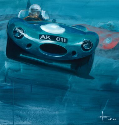 D-Type racing