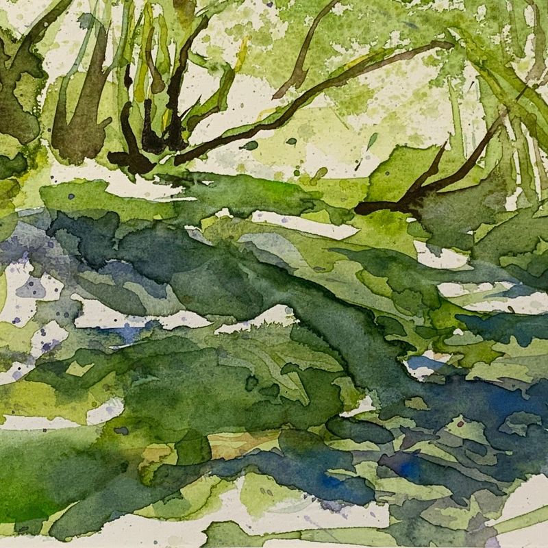 Bluebells at the Woodland Walk
