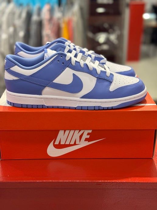 Nike Dunk Low Polar Blue