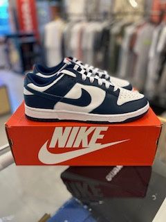 Nike Dunk Low Valerian Blue