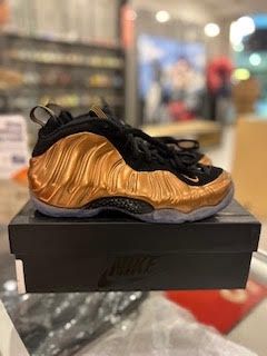 Nike Air Foamposite One Copper (2024)