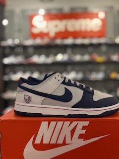 Nike Dunk Low EMB NBA 75th Anniversary Brooklyn Nets