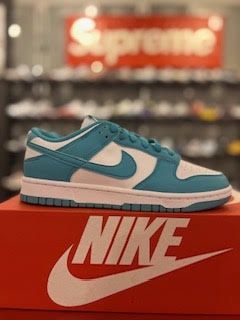 Nike Dunk Low Next Nature Dusty Cactus (Women&#39;s)
