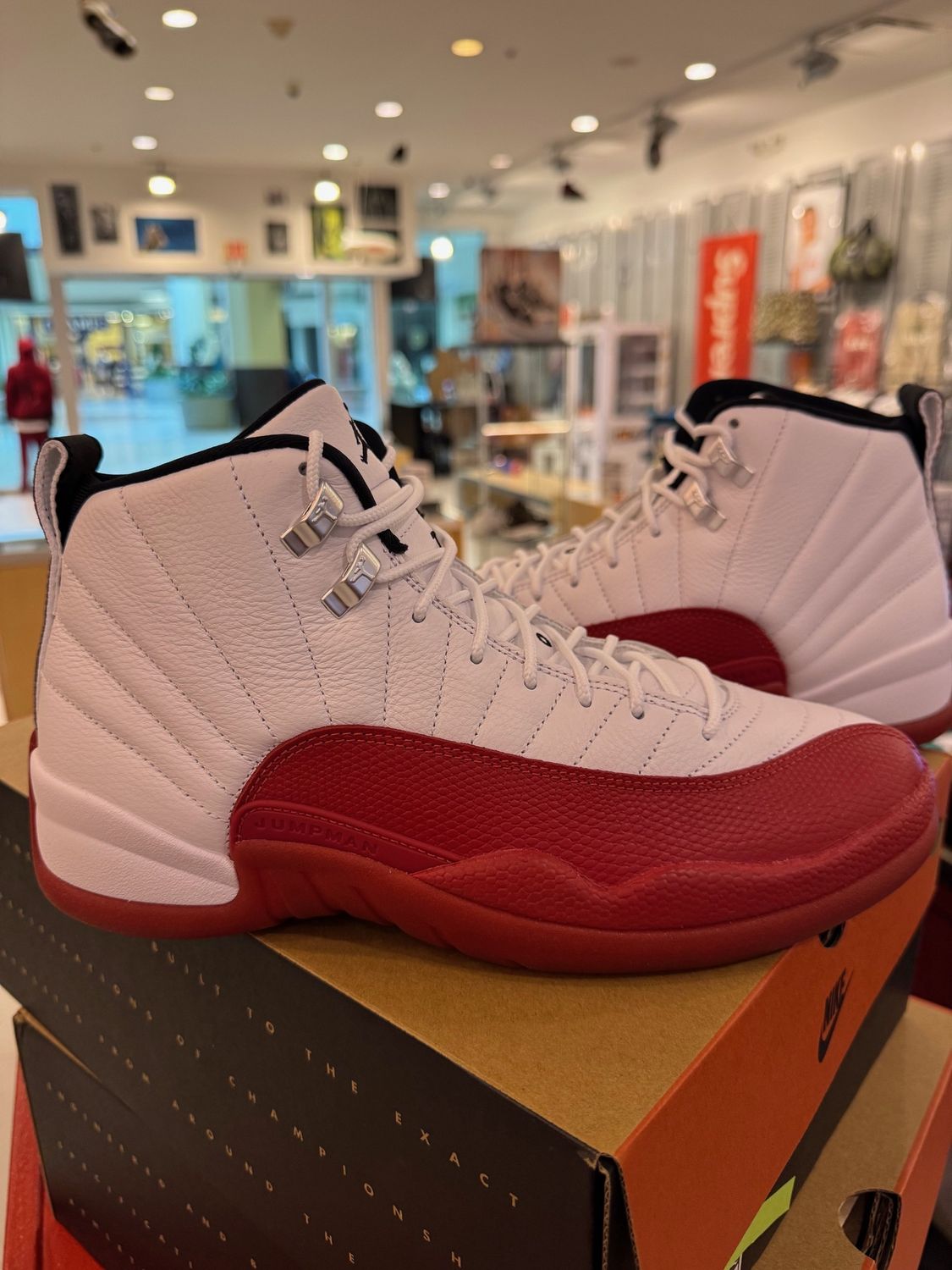 Jordan 12 Retro Cherry (2023)-DOD